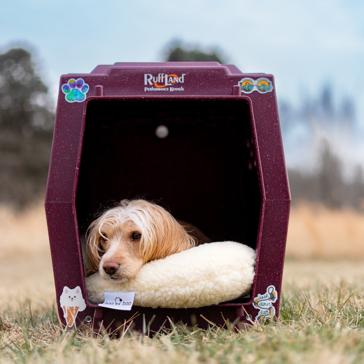 Wool Pet Calming Pillow