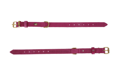 Classic Premium European Leather Dog Collar