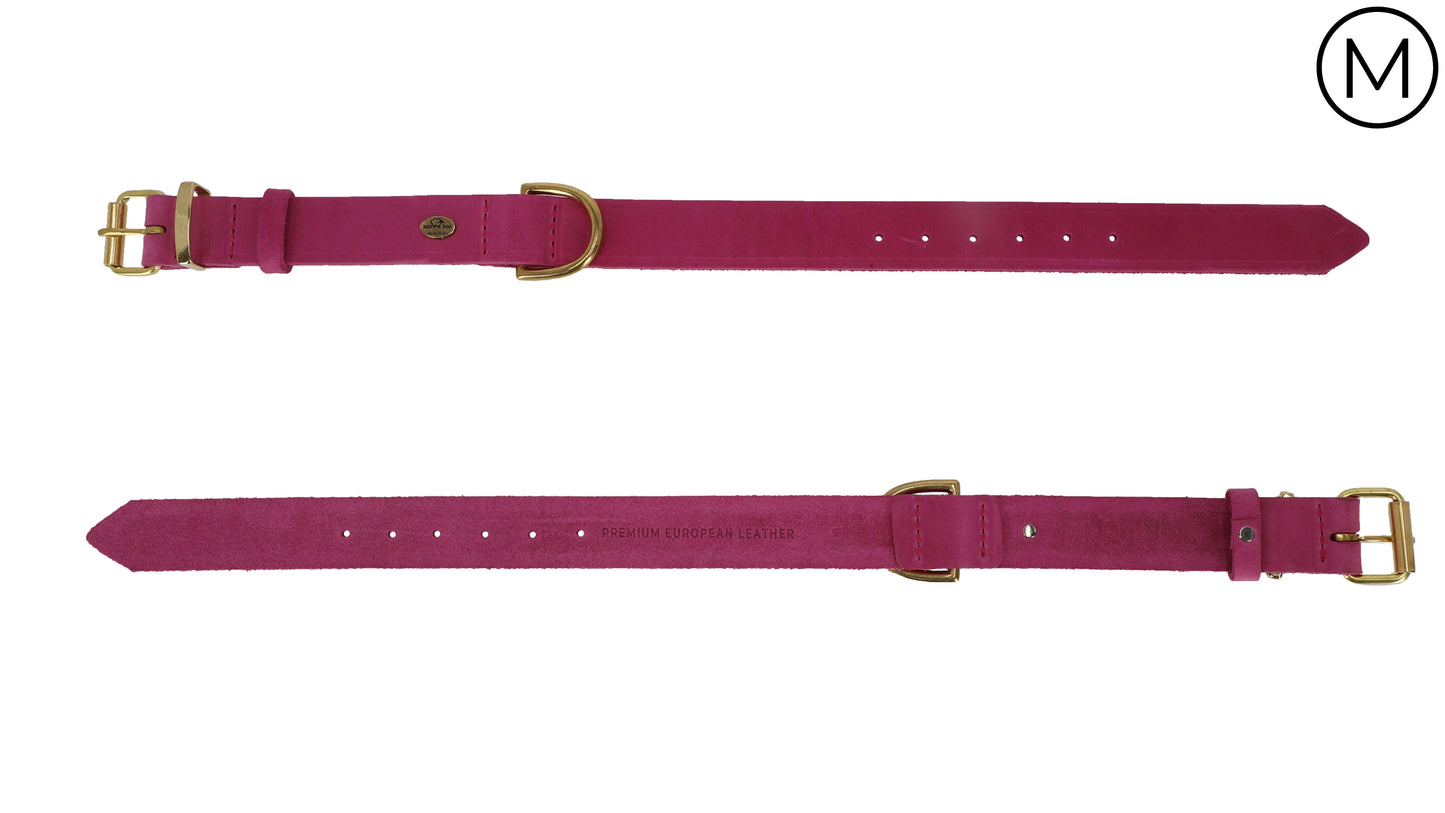 Classic Premium European Leather Dog Collar