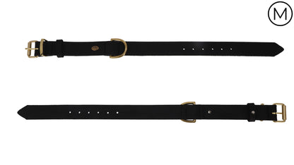 Classic Leather Dog Collar & Lead Set