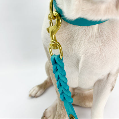 Classic Leather Dog Collar & Lead Set