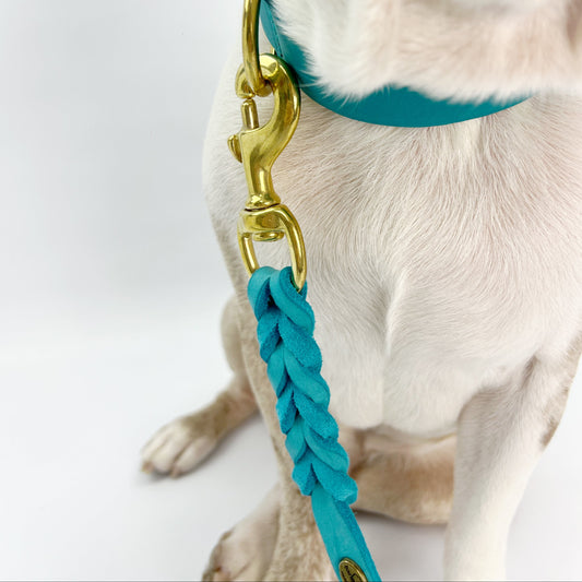 Premium European Leather Dog Lead
