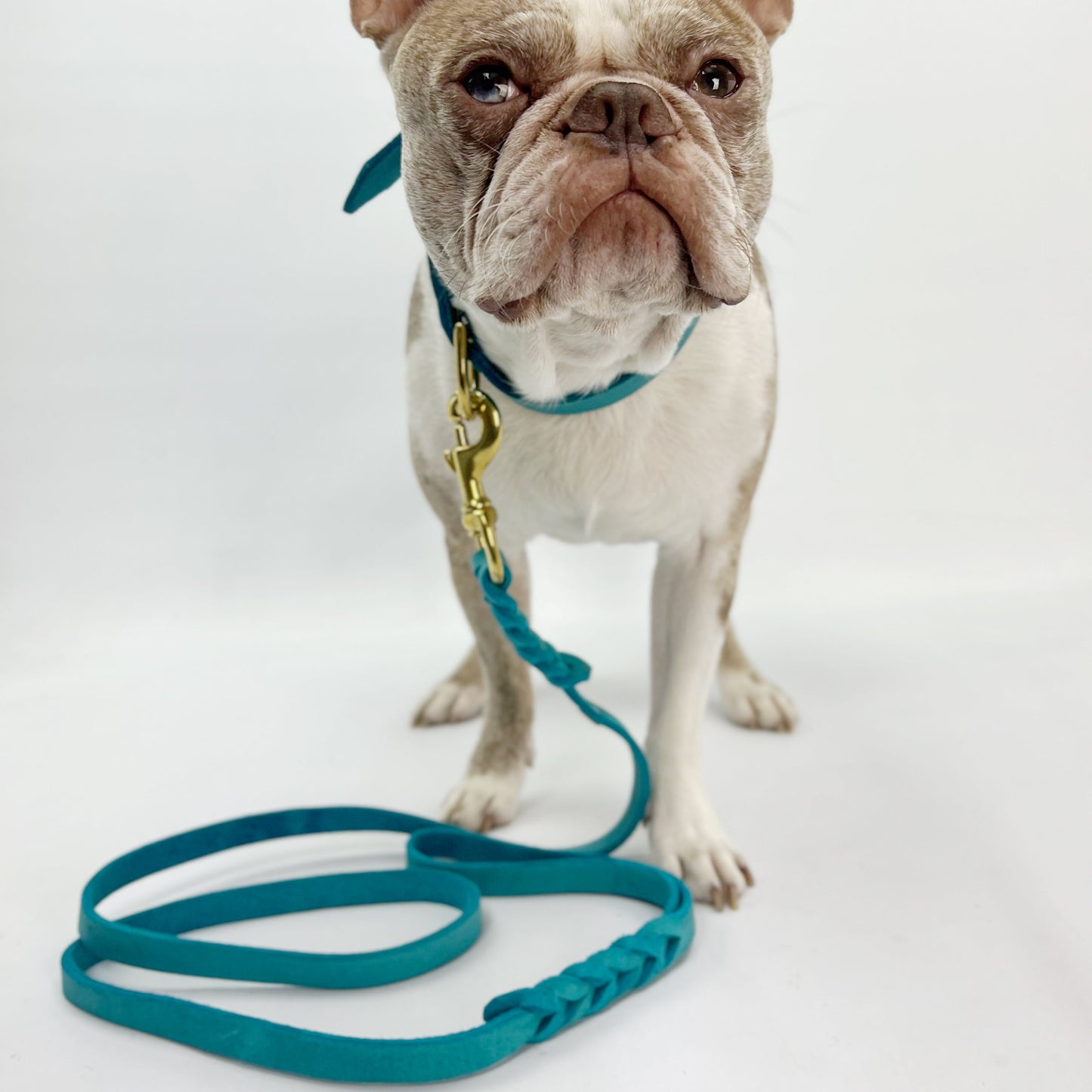 Premium European Leather Dog Lead