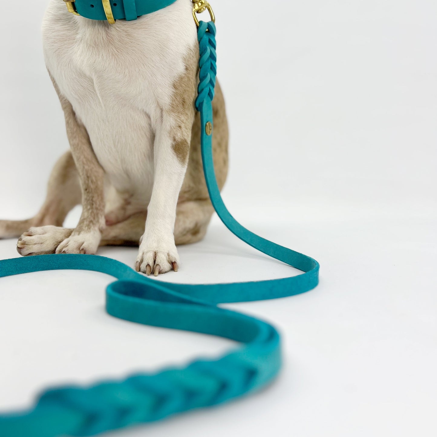 Premium European Leather Dog Lead