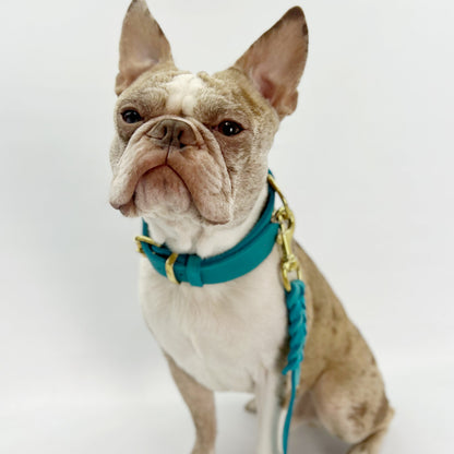 Classic Leather Dog Collar & Lead Set