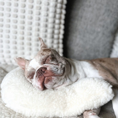 Wool Pet Calming Pillow