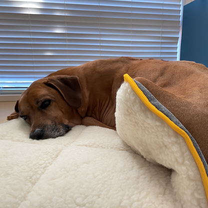 Premium Wool Mat Bed