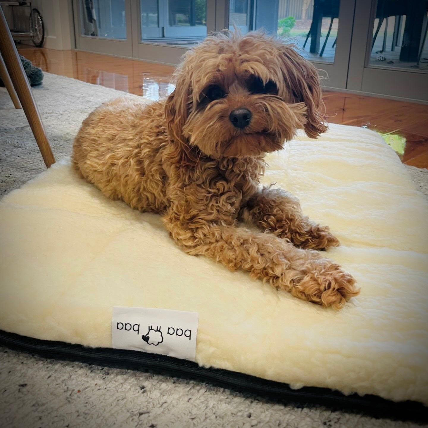 Premium Wool Mat Bed