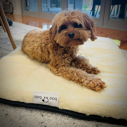 Premium Wool Mat Bed