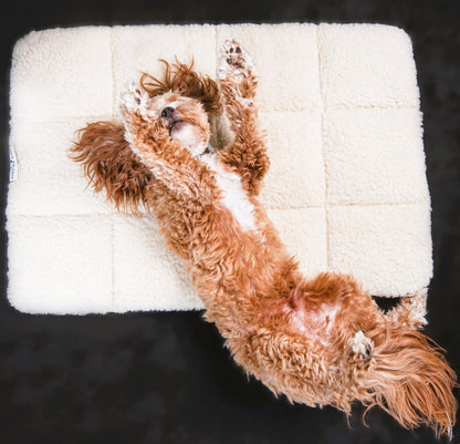 Premium Wool Dog & Cat Mat Bed - Water - Resistant, Machine Washable - BAA - BAA