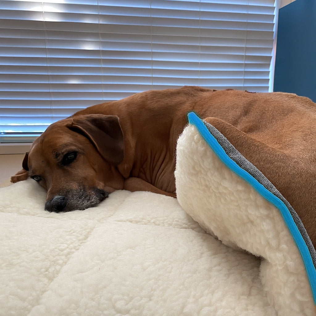 Premium Wool Mat Bed
